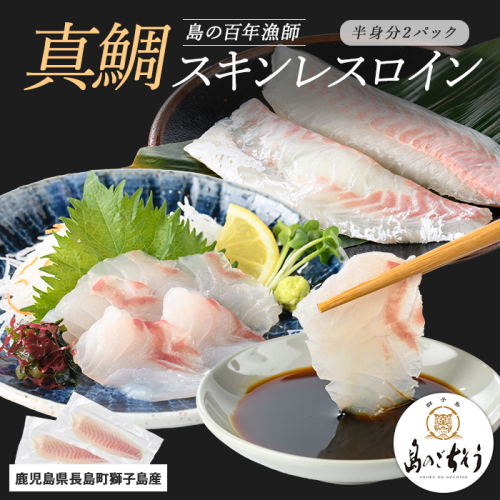 獅子島産 百年漁師の真鯛 スキンレスロイン2パック (半身分) 【島のごちそう】gochi-1325 2113147 - 鹿児島県長島町