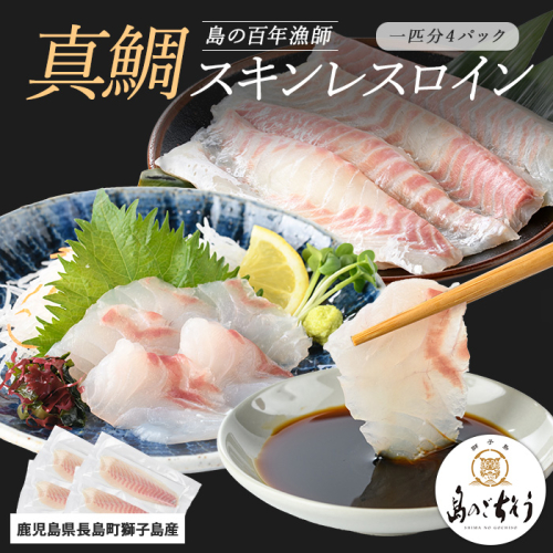 獅子島産 百年漁師の真鯛 スキンレスロイン4パック (1匹分) 【島のごちそう】gochi-7050R8 2113148 - 鹿児島県長島町