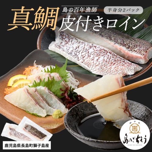 獅子島産 百年漁師の真鯛 皮付きロイン2パック (半身分) 【島のごちそう】gochi-7051R8 2113149 - 鹿児島県長島町