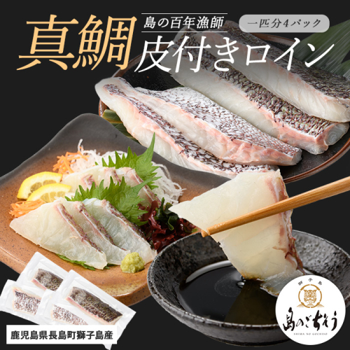 獅子島産 百年漁師の真鯛 皮付きロイン4パック (1匹分) 【島のごちそう】gochi-1328 2113150 - 鹿児島県長島町