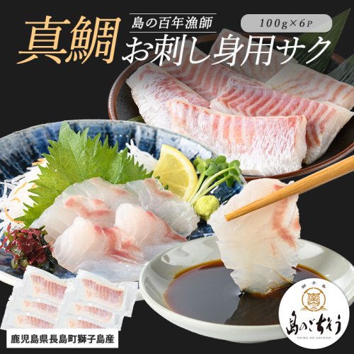 獅子島産 百年漁師の真鯛 お刺身用サク (約100g×6パック) 【島のごちそう】gochi-1329 2113151 - 鹿児島県長島町