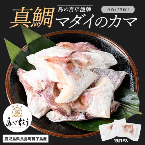 獅子島産 百年漁師の真鯛 カマ (5対10個) 【島のごちそう】gochi-1333 2113155 - 鹿児島県長島町