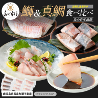 獅子島産 百年漁師の鰤 (約150g×4P) と真鯛 (約100g×6P) お刺身用サク食べ比べ【島のごちそう】gochi-7059