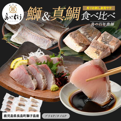 獅子島産 百年漁師の鰤 (約150g×4P) と真鯛 (約100g×6P) 炙り刺身サク食べ比べ【島のごちそう】gochi-7060 2113158 - 鹿児島県長島町