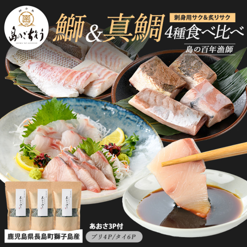 百年漁師の海産物 詰め合わせ【島のごちそう】gochi-7061 2113159 - 鹿児島県長島町