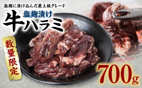 【数量限定】 塩麹漬け 牛ハラミ 700g 焼肉用 211333 - 熊本県八代市
