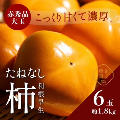 先行受付　柿(種無し)　赤秀品大玉　6個入　約1.8kg ※2025年9月下旬～10月下旬頃に順次発送予定 ※離島への配送不可 2113415 - 和歌山県美浜町