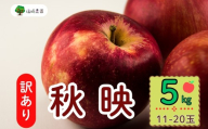 【先行予約】【訳あり】秋映（あきばえ）【約5kg(11〜20玉)】 規格外 (7-A26-2)