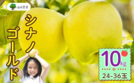 【先行予約】シナノゴールド【約10kg(24〜36玉)】(7-A25-3)