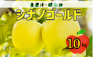 【先行予約】シナノゴールド【約10ｋｇ(24〜36玉)】(7-A25-3)
