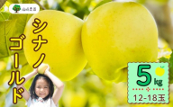 【先行予約】シナノゴールド【約5kg(12〜18玉)】(7-A25-2)