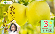 【先行予約】シナノゴールド【約3kg(6〜10玉)】(7-A25-1)