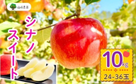 【先行予約】シナノスイート【約10kg(24〜36玉)】 (7-A24-3)