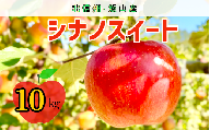 【先行予約】シナノスイート【約10ｋｇ(24〜36玉)】 (7-A24-3)
