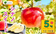 【先行予約】シナノスイート【約5kg(12〜18玉)】 (7-A24-2)