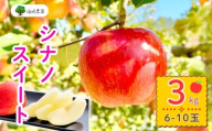 【先行予約】シナノスイート【約3kg(6〜10玉)】 (7-A24-1)