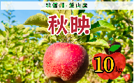 【先行予約】秋映（あきばえ）【約10ｋｇ(24〜36玉)】(7-A23-3)
