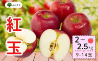 【先行予約】紅玉（こうぎょく）【約2～2.5kg(9〜14玉)】(7-A22)