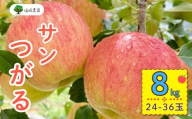 【先行予約】サンつがる【約8kg(24〜36玉)】(7-A19-3)