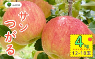 【先行予約】サンつがる【約4kg(12〜18玉)】(7-A19-2)