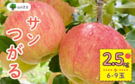 【先行予約】サンつがる【約2.5kg(6〜9玉)】(7-A19-1)