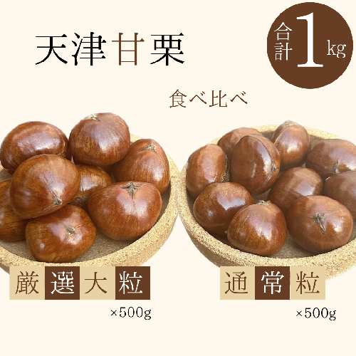 この道50年の職人が焼く、やさしい甘みたっぷりの「厳選大粒と通常サイズ」合計1kg！焼きたて 栗 くり 栗爪 殻付き お菓子 おつまみ 人気 高リピート 小分け 栗ご飯 栗きんとん 甘露煮 H045-088 2113500 - 愛知県碧南市