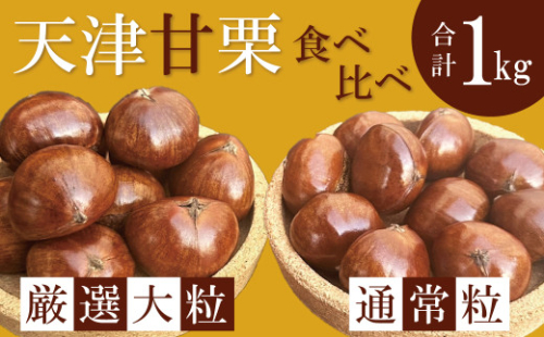 この道50年の職人が焼く、やさしい甘みたっぷりの「厳選大粒と通常サイズ」合計1kg！食べ比べセット 焼きたて 栗 くり 栗爪 殻付き お菓子 おつまみ 人気 高リピート 小分け 栗ご飯 栗きんとん 甘露煮 H045-063 2113500 - 愛知県碧南市