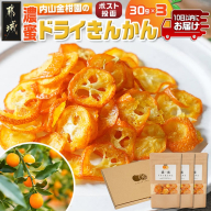 濃蜜ドライきんかん3パック※ポスト投函≪みやこんじょ特急便≫_LG-J703-Q