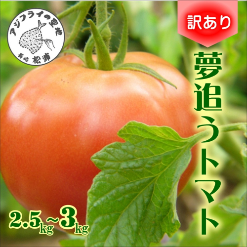 訳あり！ご家庭用に大活躍　夢追うトマト2.5kg～3kg( トマト とまと ジューシー リコピン 期間限定 松浦市 松浦産 大玉トマト 訳ありトマト )【A7-061】 2113646 - 長崎県松浦市