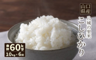 【先行予約】【定期便 6ヶ月】こしひかり 精米 10kg 計60kg