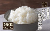 【先行予約】【定期便 6ヶ月】にじのきらめき 精米 10kg  計60kg