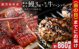 【2025年丑の日(7/1〜7/19配送)早期予約受付中】里山牛ハンバーグ：100%里山牛のミンチを使用していますので、お肉の食感が強い、食べごたえのあるハンバーグです♪霧島湧水鰻：養殖うなぎ生産量日