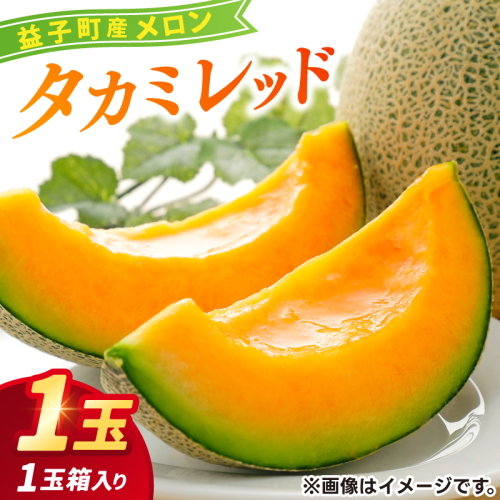 ＼果汁たっぷり／栃木県益子町産 タカミレッド 約1.5kg×1玉 (2025年6月発送予定) | ましこメロン 果物 くだもの フルーツ メロン 赤肉 赤肉メロン 旬 贈り物 ギフト 箱入り お取り寄せ 甘い 栃木県産 益子町産 (AA044) 2113855 - 栃木県益子町