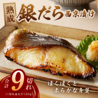 熟成 銀鱈 西京漬け 120g×9切れ【西京漬け 熟成 西京漬けの王様 海産物 魚 惣菜 銀だら 西京焼き 味噌 小分け お酒のあて 訳あり サイズ不揃い 切り落とし 冷凍】 015B356