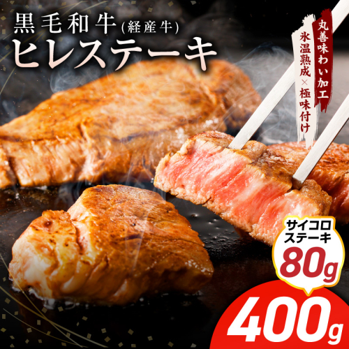 【特別規格】黒毛和牛 ヒレステーキ ＋ サイコロステーキ 合計 480g【氷温熟成×極味付け 牛肉 和牛 経産牛 訳あり サイズ不揃い 規格外 数量限定】 mrz0319 2114253 - 大阪府泉佐野市