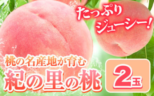 桃 もも 和歌山県産 2玉 《2026年6月中旬-8月中旬頃出荷》 紀の里の桃 送料無料 旬の桃を厳選 モモ 果物 フルーツ お取り寄せ 和歌山 2026年先行予約 送料無料  白鳳 日川白鳳  なつっこ 清水白桃 川中島白桃  八旗白桃 ギフト 果物 くだもの フルーツ お取り寄せ 