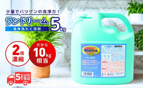 【選べる数量】濃縮洗濯洗剤 ランドリーム 5kg (5kg×1個) 業務用 詰め替え | 濃縮洗剤 洗濯 洗剤 液体 洗濯用洗剤 洗濯用 環境配慮 詰替え 詰め替え用 大容量 衣類洗剤 衣類用洗剤 液体洗剤 業務用洗剤 日常品 洗浄 エコ洗剤 泡切れが良い ランドリー 柔軟剤 店舗用 エコ すすぎ１回 節水 節約 茨城県 龍ケ崎市