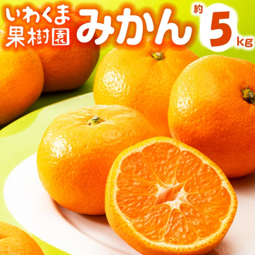 AA216.いわくま果樹園から直送品の温州みかん（約5kg）／2025年9月下旬～2026年1月下旬発送予定★予約分★ 2114323 - 福岡県新宮町