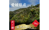 代々橙みかん3kg(家庭用・サイズ混合)＜A83-33＞【1623572】