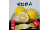 ＜爽やかな甘さ＞＜訳あり＞はるか 3kg＜A83-35＞【1623657】