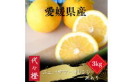 ＜初夏の味＞＜訳あり＞ニューサマーオレンジ 3kg＜A83-36＞【1623663】