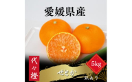 ＜最高の旨みと香りが詰まった＞代々橙せとか＜訳あり＞5kg＜E83-37＞【1623736】