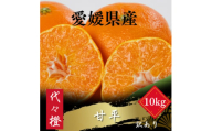 ＜濃密でシャキシャキ甘い＞代々橙甘平＜訳あり＞10kg＜H83-40＞【1623739】