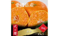 ＜濃密でシャキシャキ甘い＞代々橙甘平＜訳あり＞3kg＜C83-43＞【1623949】