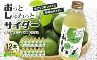 【お中元 ギフト のし 対応可】 Create Clear Cider カボス 《7/1～8/8の期間にお届け》 飲料 炭酸 サイダー ピュアウォーター 果汁 みず 水 ウォーター SDGs かぼす お酒 割り材 炭酸水 料理 果汁量10％以上 I06003-S