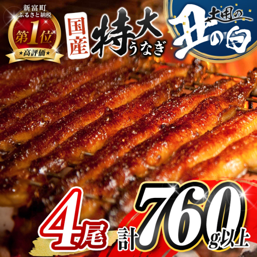 ［丑の日までにお届け!! ］特大 うなぎ 鰻楽 国産 蒲焼 4尾 人気 無頭 計760g以上 高評価 おすすめ 冷凍 簡単調理 個包装 鰻 魚介 贈答品 ギフト 贈り物【C388-760-USHI_01】 2114712 - 宮崎県新富町