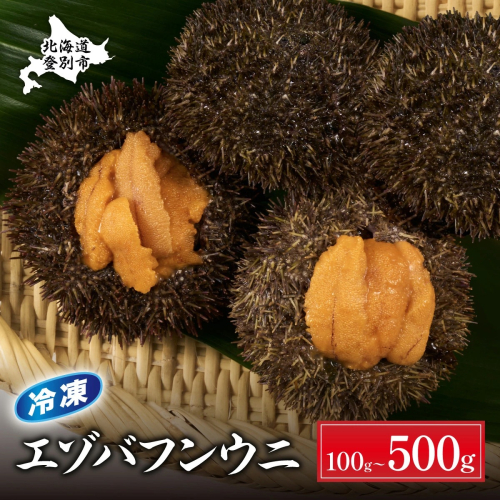 極上 エゾバフンウニ 冷凍パック300g 2114814 - 北海道登別市