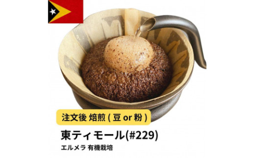コーヒー #229 東ティモール エルメラ 有機栽培 310g 当日焙煎 大山珈琲 （豆または中挽きから選択） 2115157 - 大阪府堺市