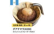 コーヒー #250 グアテマラ デカフェ ウォータープロセス 310g 当日焙煎 大山珈琲 （豆または中挽きから選択）