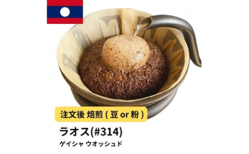 コーヒー #314 ラオス ゲイシャ100% ウオッシュド 310g 当日焙煎 大山珈琲 （豆または中挽きから選択） 2115162 - 大阪府堺市